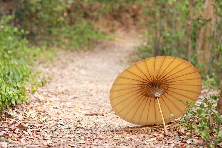 ancient umbrella in nature outdoor with copy space