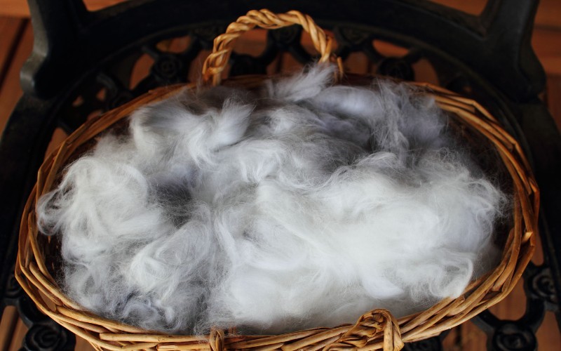 Basket full of grey Angora rabbit fur
