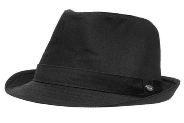 Trilby