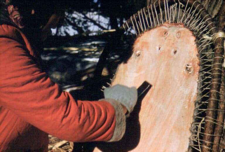 Beaver Pelt Hats Explained Hat Realm