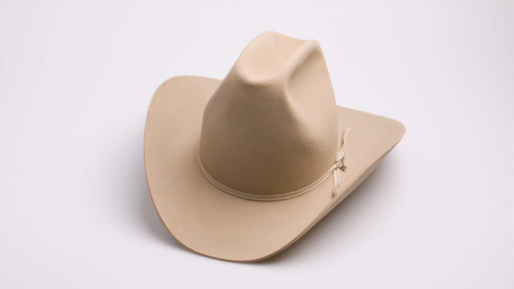 Stetson Hat