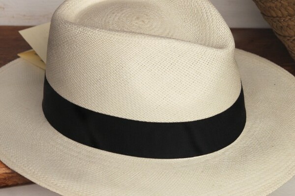 fedora style panama hat