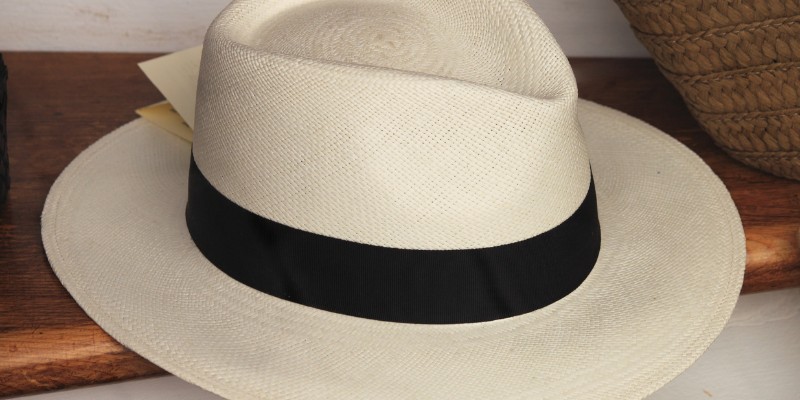 fedora style panama hat