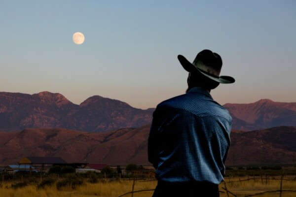 cowboy looking at horizon