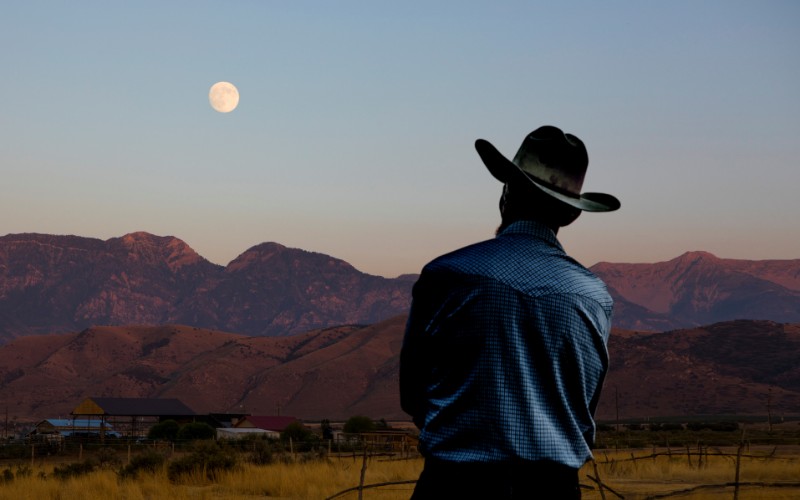 cowboy looking at horizon