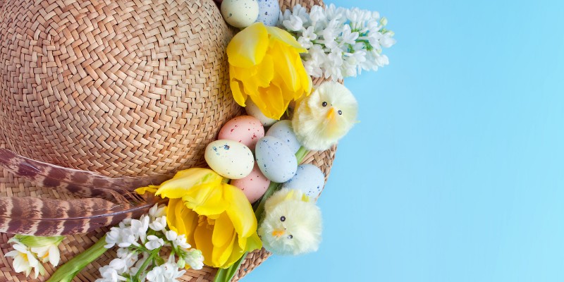Easter bonnet with chicks and eggs