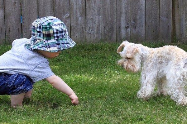 Toddler wearing a bucket hat