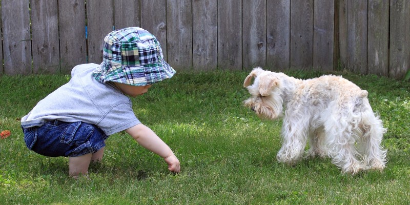 Toddler wearing a bucket hat