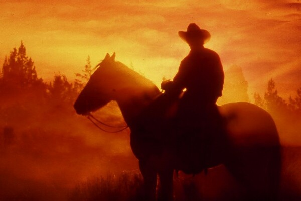 A cowboy at sunset