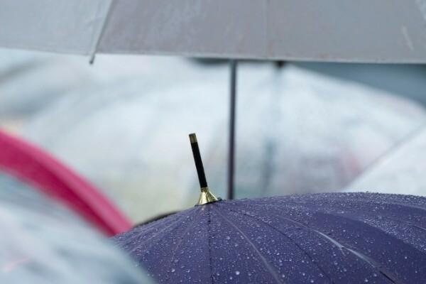 Close up of umbrellas in rain
