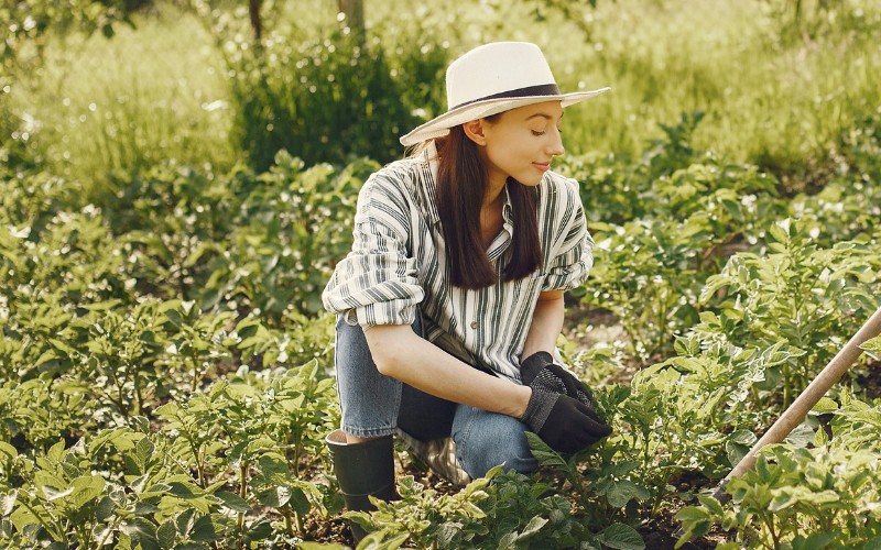 gardening