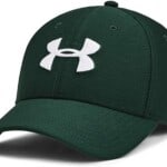 Under Armour Men’s Blitzing 3.0 Cap